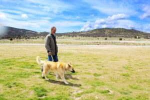 Heartworm treatment_Rick taking now recovered Robbie for walk