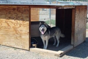 Loving homes, smiling Rory getting some shade out of hot sun