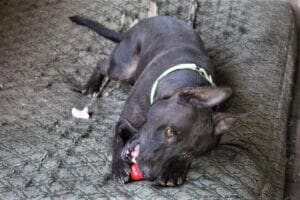 Lucy with found red popsi-kong
