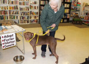 Rescue Ranch dog Mina with Sue Doron