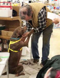 Rescue Ranch dog Mina greeting John