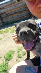 Onyx, CU facing cam