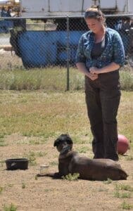 Teresa_doing search_and find tricks