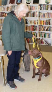 Rescue Ranch dog Mina sitting for Sue Doron and licking her lips after treat