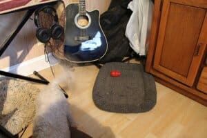 Winter blues, Steve has collected 1 toy on his dog bed