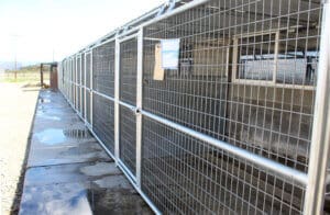 Dog accommodations, New North side outdoor panels CU