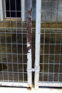 Dog accommodations, South side outdoor panels Rusty and peeling South Side 1