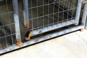 Dog accommodations, South side outdoor panels Rusty and peeling South Side 2