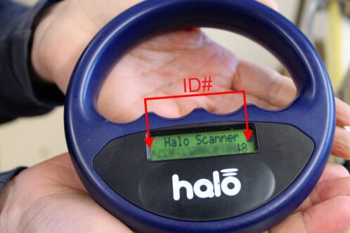 Dog microchips_Scanner 2