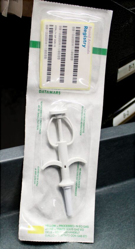 Dog microchips_ syringe and registry numbers in package