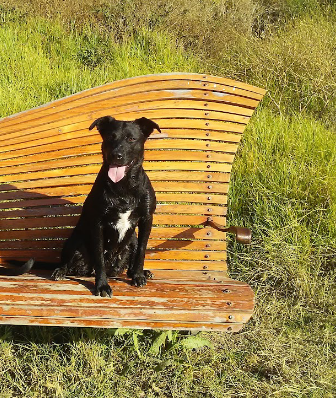 Screenshot_20230425-2114163