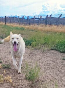 Gina out in Sanctuary yard