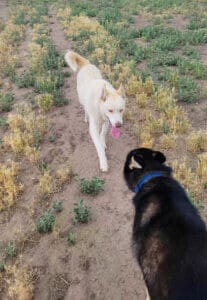 Gina and Hanna out in Sanctuary yard
