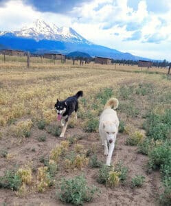 Gina and Hanna out in Sanctuary yard