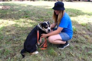 Dog adoptions, Snuggles getting chest rub from Thea