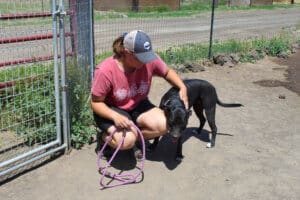 DOgs dogs dogs: Sydney crouching next to Sage