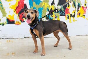 Best lives, Athen posing for the camera