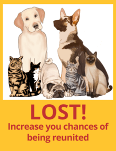 Lost dog or cat, increase your chances at being reunited graphic