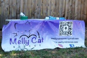 Melly Cat Table at Red Dog Pet Supply Puppy Pool and Adoption Event