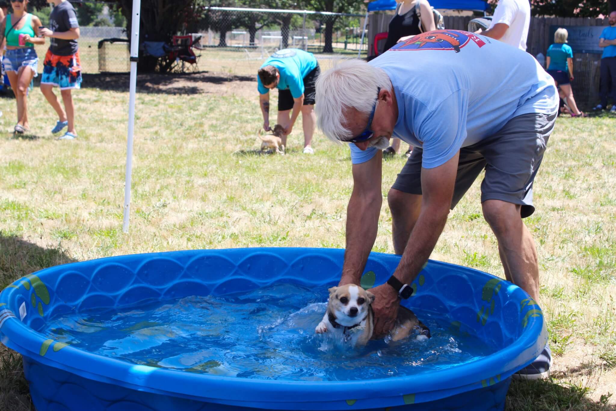 Red Dog Pet Supply Owner Tim playing in puppy pool wit llittle dog 2