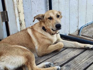 Tummy aches, Winnie wishing she felt better