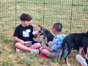 Dog Socialization Training Day 1