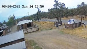 Abandoned puppies, John can't see crate from his vantage point as he pulls up to the Sanctuary gate