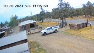 Abandoned puppies, John is through Sanctuary gate and crate is visible in shot behind on the ground