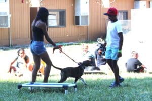 Dog socialization training camp_Leon and Sabrina with Peridot on leash