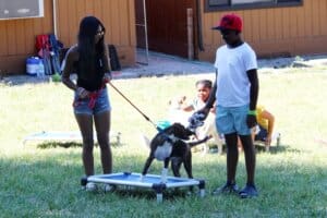 Dog socialization training camp_Leon and Sabrina with Peridot