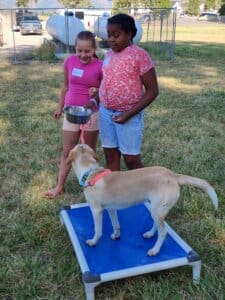 Dog socialization training camp_Nevaeh and Kaylyn working with Rio