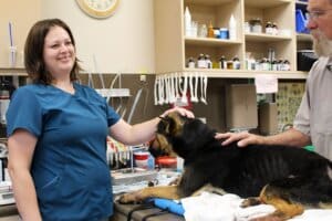 Dying dog, Cvt Kayla patting Noble's head at the end of second vet session