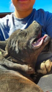 Onyx at Sanctuary cuddling with Sydney