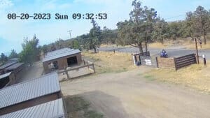 Abandoned puppies, man on ATV with trailer drives up to Sanctuary gate
