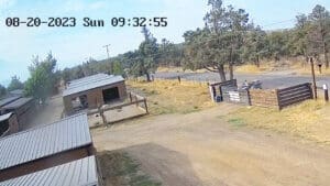 Abandoned puppies, ATV driver maneuvers to park vehicle and trailer at Sanctuary gate