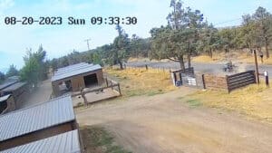 Abandoned puppies, ATV and trailer drive away