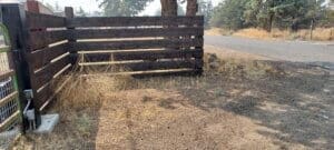 The spot outside the Abandoned puppies, Outside Sanctuary gate where the puppies were dumped