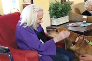 Fun day, Dorothy petting Tucker's head as he stretches his nose toward her