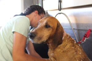 Tucker resigned to being bathed