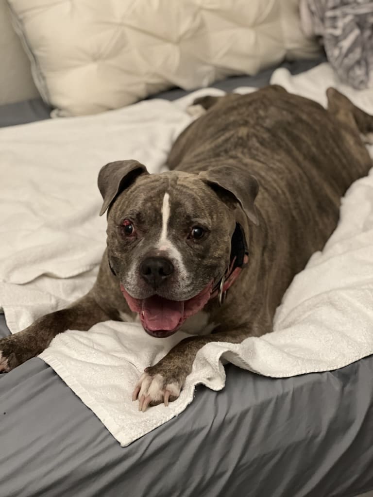 DC2E0E93-D6B3-48F6-A4AB-667830B48F99_1_105_c