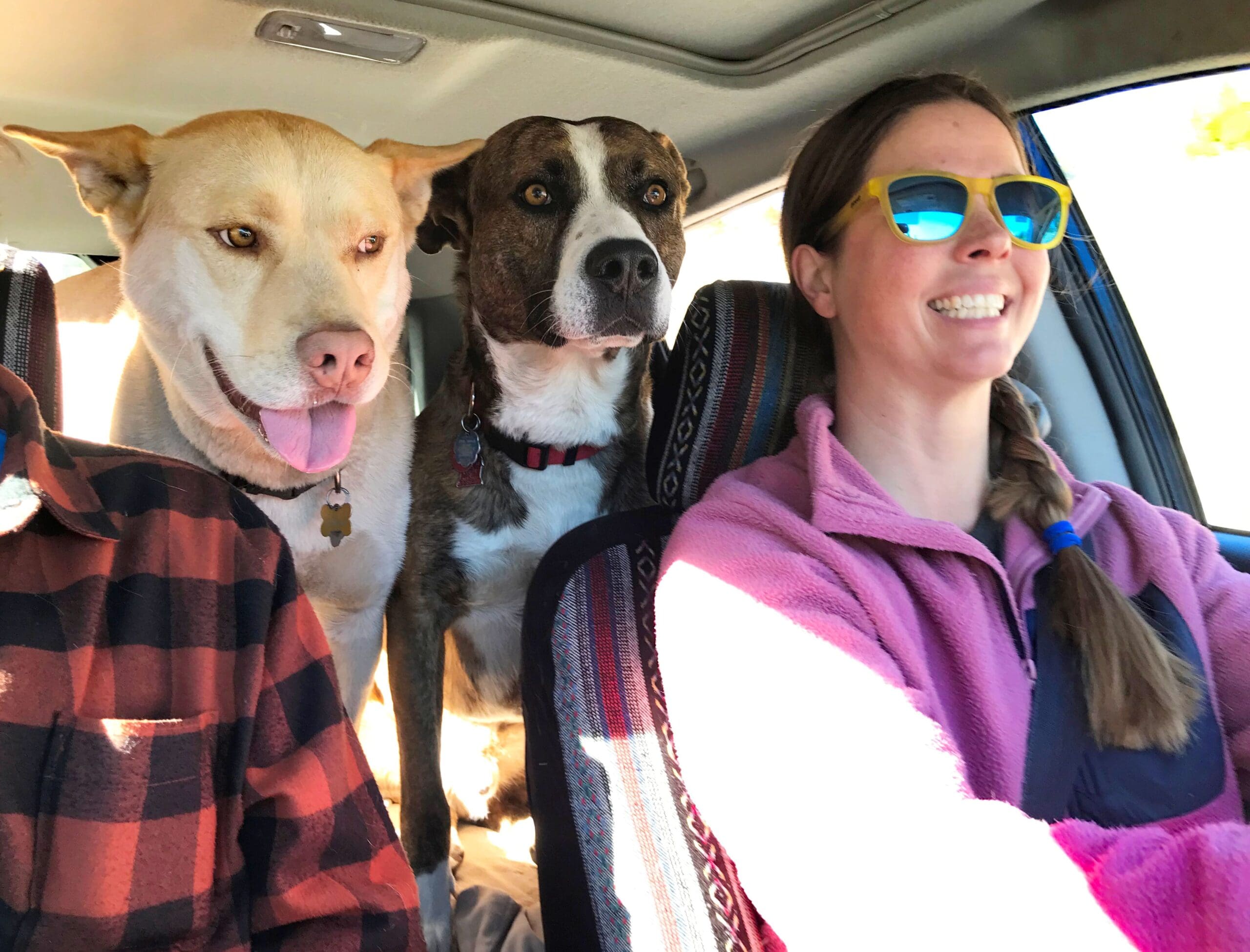 Perfect matches_Wally and Larry peaking between car seats with Erin ...