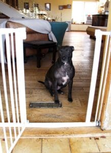 Safety first_Lucy waiting before going through gate