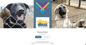 Giving Tuesday 2023_RR results