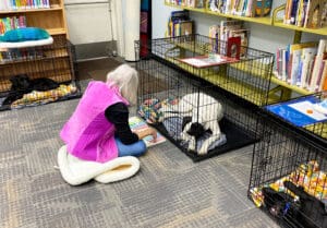 Puppies puppies puppies, Library Manager Reading to Pekin