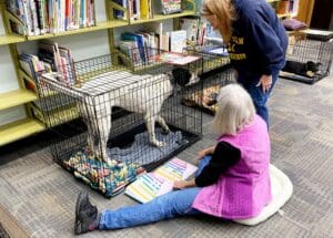 Puppies puppies puppies, Library manager with Pekin and visitor