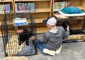 Puppies puppies puppies_Boy between crates petting pups in each