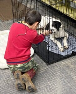 Puppies puppies puppies_Boy in red sweater with Pekin