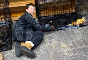 Puppies puppies puppies_Boy petting pup in crate looking back at cam