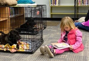 Puppies puppies puppies_Little girl in pink next to puppy crate