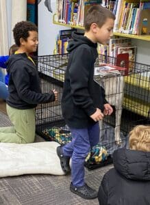 Two boys checking out puppies in crates